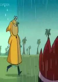 سرزمین دیونه ها