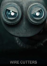 سیم چین Wire Cutters