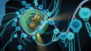 تماشای آنلاین فصل 1 انیمیشن سریالی اختانوردها : بالا و فراتر از آن Octonauts : Above & Beyond با دوبله فارسی کامل