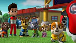 تماشای آنلاین انیمیشن سینمایی سگ های نگهبان : مسابقه نجات Paw Patrol : Ready, Race, Rescue! سال 2019 با دوبله فارسی کامل