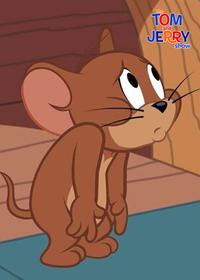 قسمت یازدهم