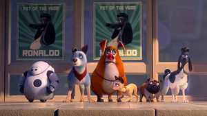 تماشای آنلاین انیمیشن کمدی و هیجان انگیز اتحادیه حیوانات خانگی Pets United 2019 با بهترین دوبله فارسی و کیفیت عالی