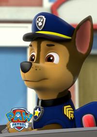 قسمت پنجم Pup Pup Goose