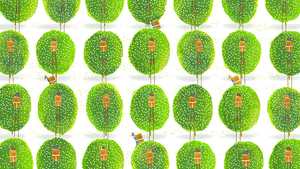 Boy and the World (2013) 01