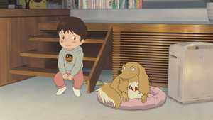 تماشای آنلاین دوبله فارسی کامل کارتون انیمه ای میرای Mirai سال 2018 با بهترین کیفیت ژانر ماجراجویانه و درام و خانوادگی