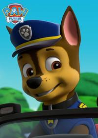 قسمت سوم Pups Save a Melon Festival