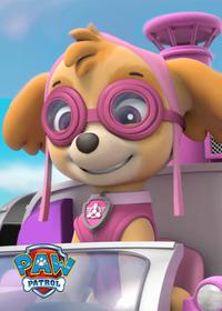 قسمت اول Pups Find a Genie