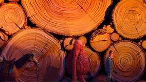 لینک گمشده Missing Link 2019