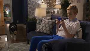 تماشا فیلم گربه ها و سگ ها 3 اتحاد پنجه ها 2020 با دوبله فارسی