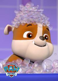 قسمت سیزدهم Pups Save the Bunnies