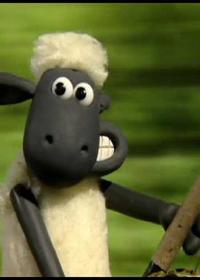 تراکتور مزاحم