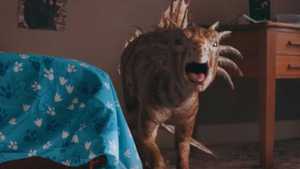 G-My-pet-dinosaur-2017 (2)