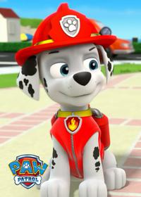 قسمت بیست و پنجم Pups Great Race