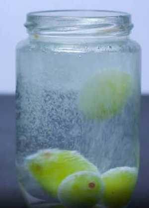 تجربه های شگفت انگیز علوم برای کودکان Amazing Sciense Experiments For Kids