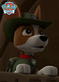 قسمت سیزدهم Pups Save a Lost Gold Miner