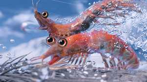 خوش قدم 2 Happy Feet Two (2011)