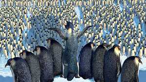 خوش قدم 1 Happy Feet (2006)