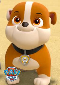 قسمت هشتم Pups Save an Ace