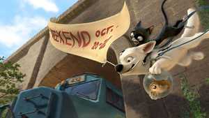 تیزپا Bolt (2008)