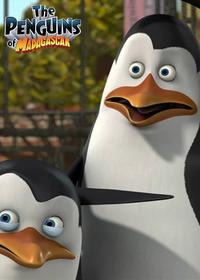 قسمت دوازدهم