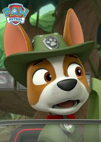 قسمت سوم Pups Save Big Paw