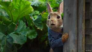 S-Peter-Rabbit-(2018)-04