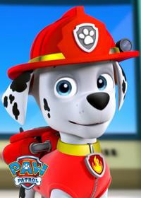 قسمت بیستم Pups Go All Monkey