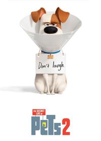 زندگی مخفی حیوانات خانگی 2 The Secret Life of Pets 2