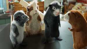 گروه ویژه G-force (2009)