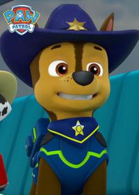 قسمت هفدهم Pups Save a Sleepwalking Bear