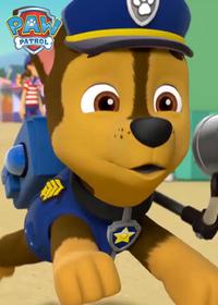 قسمت ششم Pups Save a Sleepover