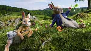 S-Peter-Rabbit-(2018)-06