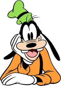 فردا رژیم میگیرم