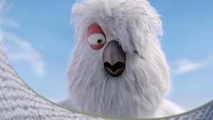 پلوی Flying the Nest (2018)