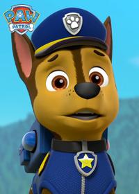 قسمت بیست و یکم Pups Save the Runaway Turtles