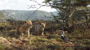 شیر شاه The Lion King