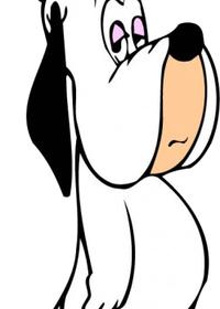 دروپی در مسابقه ی ماشین سواری