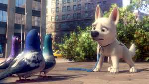 تیزپا Bolt (2008)