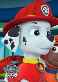 قسمت بیست و چهارم Pups Save the Woof and Roll Show