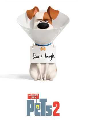 زندگی مخفی حیوانات خانگی 2 The Secret Life of Pets 2