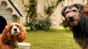 دانلود کیفیت عالی لایو اکشن سینمایی بانو و ولگرد Lady and the Tramp همراه با صحنه های کمدی و دوبله فارسی کامل