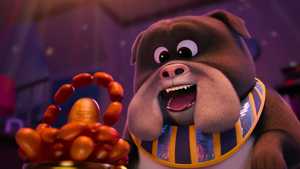 تماشا برنامه کودک صامت گردش سگ ها فصل اول Dog Days Out 2025