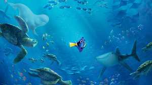 در جستجوی دوری Finding Dory (2016)