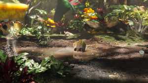 دانلود کارتون من گروت هستم 2022 با زیرنویس فارسی