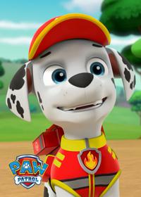 قسمت شانزدهم Pups Save a Sniffle