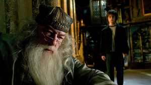 هری پاتر و جام آتش Harry Potter and the Goblet of Fire (2005)