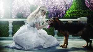 آلیس در سرزمین عجایب Alice in wonderland