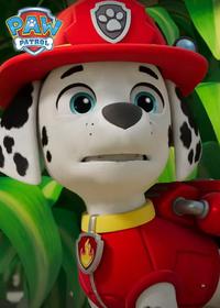 قسمت یازدهم Pups Save Bedtime