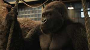 تماشای فیلم ایوان بی نظیر با دوبله فارسی