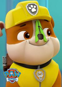 قسمت بیستم Pups Get Skunked